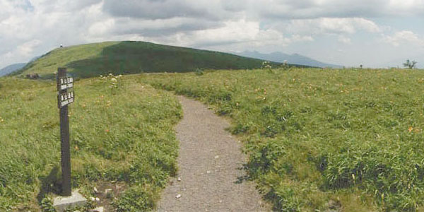 kirigamine3