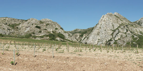 alpille